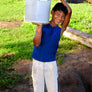 Timor White Star Organic