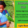 Ethiopia Natural Guji