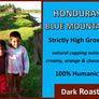Honduras Organic Blue Mountain Dark