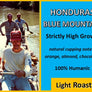 Honduras Blue Mountain Light