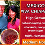 Viva Chiapas!