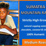 Sumatra Mountain Rain