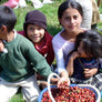 Viva Chiapas!