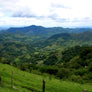 Honduras Blue Mountain Dark