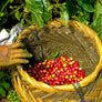 Nicaragua Altisimo Light