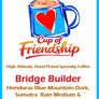 A Cup of Friendship Bridge Builder
