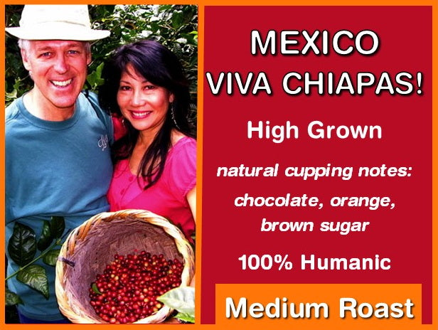 Viva Chiapas!