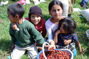 Viva Chiapas!