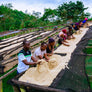 Rwanda Peaberry
