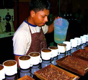 Honduras Water Decaf