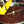 Nicaragua Altisimo Light